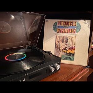 𝕞𝕪 𝕗𝕒𝕚𝕣 𝕝𝕒𝕕𝕪 𝕧𝕚𝕟𝕪𝕝!